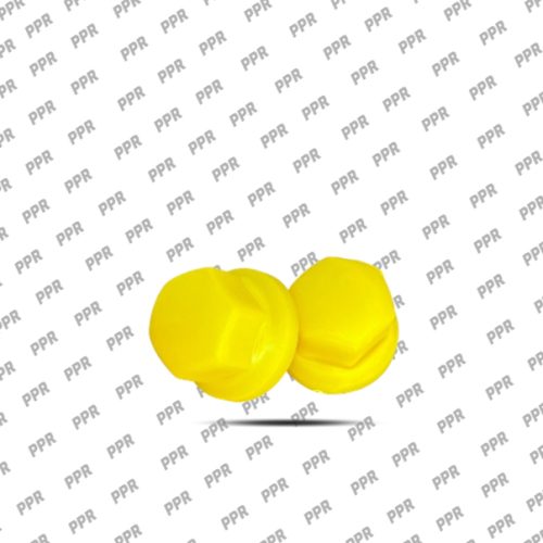 C2